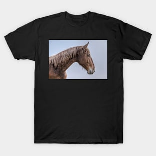 Horse Portrait T-Shirt